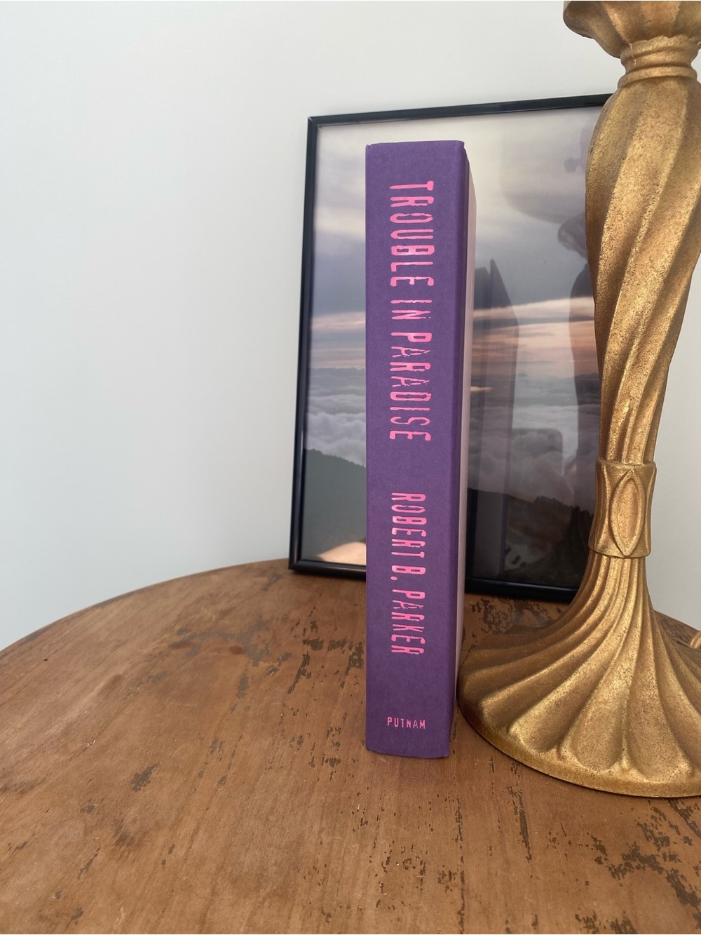 Trouble in Paradise Hardcover with Pink Flamingo Hardcover